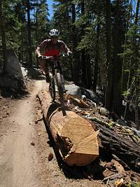 Log ride